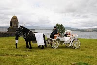 Prestige Wedding Carriages 1076048 Image 2